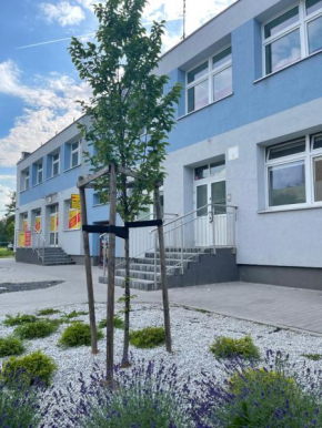 Гостиница HeroHostel  Серадз